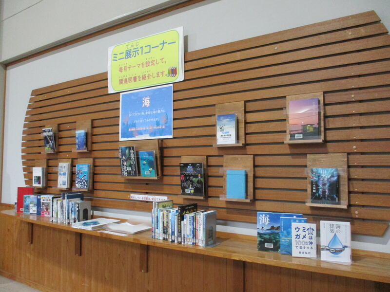 ミニ展示「海」横からの展示の様子