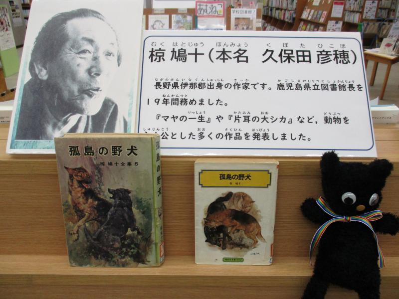 職員イチオシ！孤島の野犬